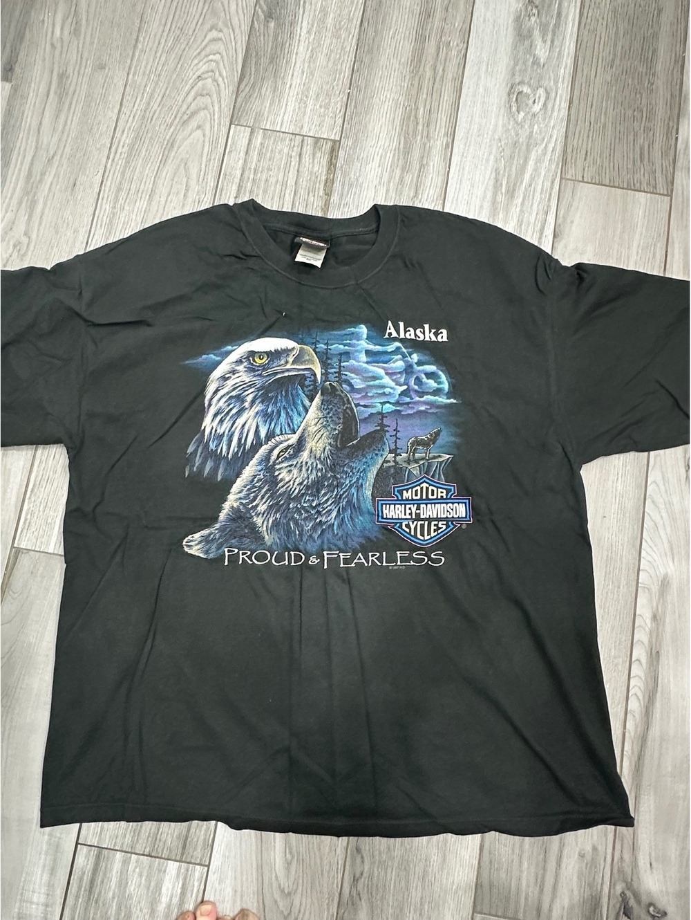 Harley-Davidson Kenai Peninsula Alaska 2XL Black Graphic T-Shirt